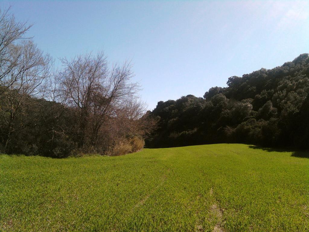 Masseria Strada Agriturismo Ginosa Zewnętrze zdjęcie
